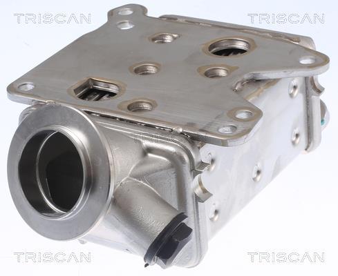 Radiador válvula egr Triscan A/S ref. 8813 10113