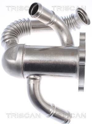 Radiador válvula egr Triscan A/S ref. 8813 10114