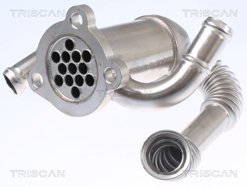 Radiador válvula egr Triscan A/S ref. 8813 10114