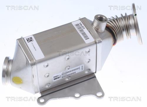 Radiador válvula egr Triscan A/S ref. 8813 10115