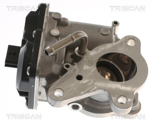 Vanne EGR Triscan A/S ref. 8813 10116