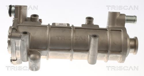 Radiador válvula egr Triscan A/S ref. 8813 10117