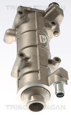 Radiador válvula egr Triscan A/S ref. 8813 10117