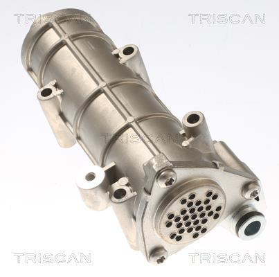 Radiador válvula egr Triscan A/S ref. 8813 10117