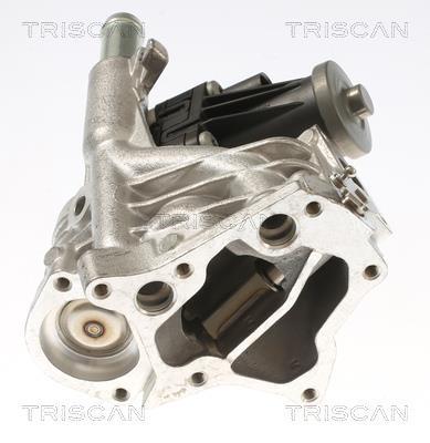 Vanne EGR Triscan A/S 8813 10118