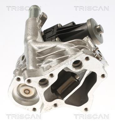 Vanne EGR Triscan A/S 8813 10118