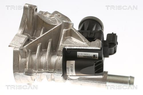 Vanne EGR Triscan A/S 8813 10118