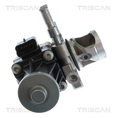 Vanne EGR Triscan A/S ref. 8813 10119