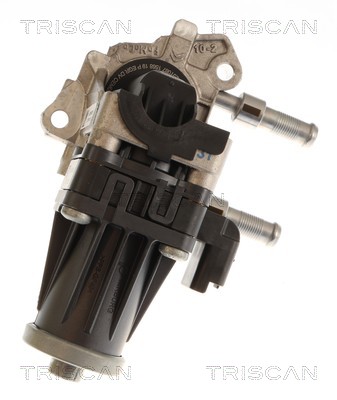 Vanne EGR Triscan A/S ref. 8813 10119