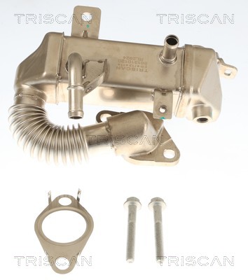 Radiateur, réaspiration des gaz d'échappement Triscan A/S 8813 10120