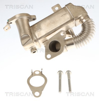 Radiateur, réaspiration des gaz d'échappement Triscan A/S 8813 10120