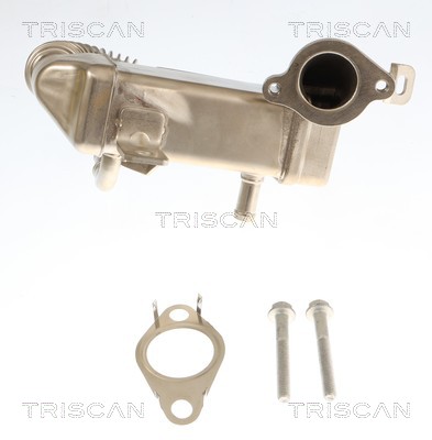 Radiateur, réaspiration des gaz d'échappement Triscan A/S 8813 10120