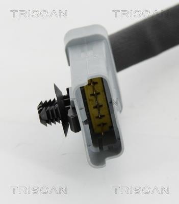 Vanne EGR Triscan A/S 8813 10202