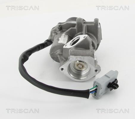 Vanne EGR Triscan A/S 8813 10202