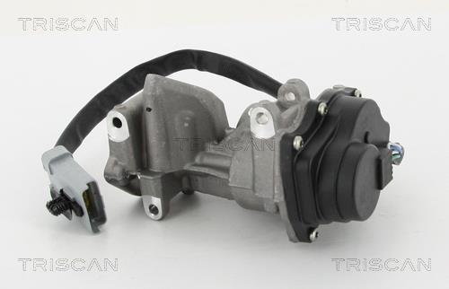 Vanne EGR Triscan A/S 8813 10202