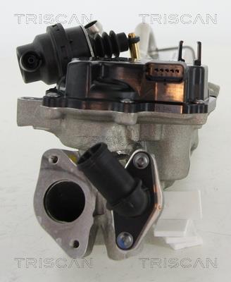 Vanne EGR Triscan A/S 8813 10203