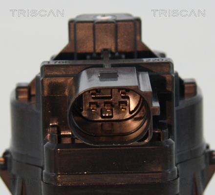 Vanne EGR Triscan A/S 8813 10214
