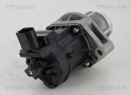 Vanne EGR Triscan A/S 8813 10214