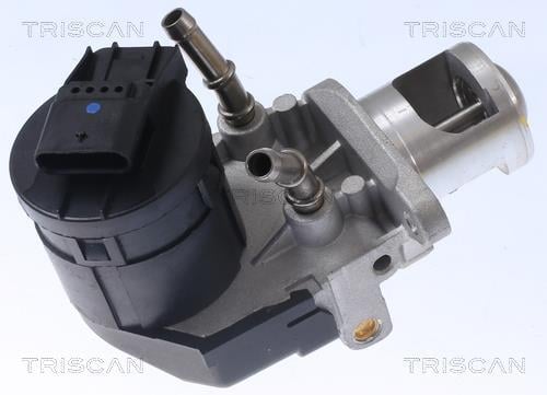 Válvula EGR Triscan A/S ref. 8813 11001