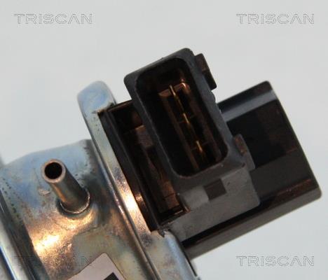 Válvula EGR Triscan A/S ref. 8813 11002