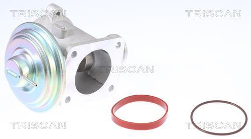 Vanne EGR Triscan A/S 8813 11003