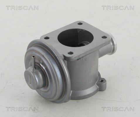Vanne EGR Triscan A/S 8813 11003