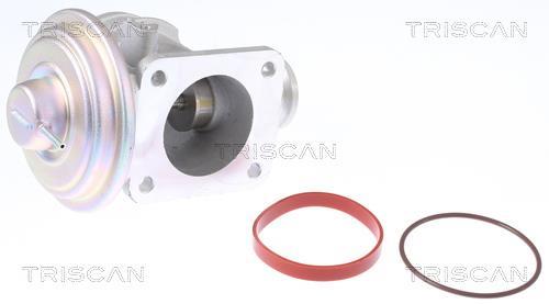 Válvula EGR Triscan A/S ref. 8813 11004