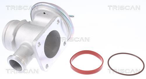 Válvula EGR Triscan A/S ref. 8813 11004