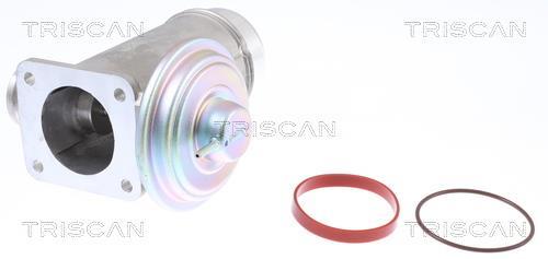 Vanne EGR Triscan A/S 8813 11005