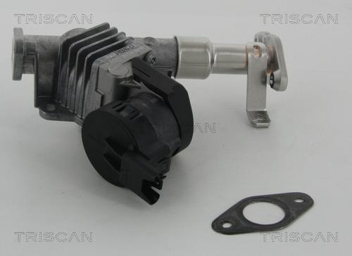Vanne EGR Triscan A/S 8813 11006