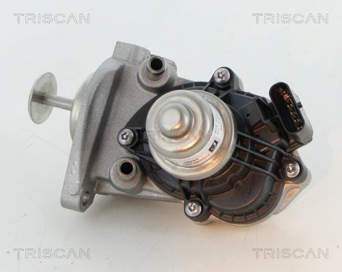 Vanne EGR Triscan A/S 8813 11007