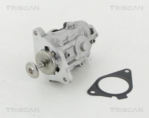 Vanne EGR Triscan A/S 8813 11007