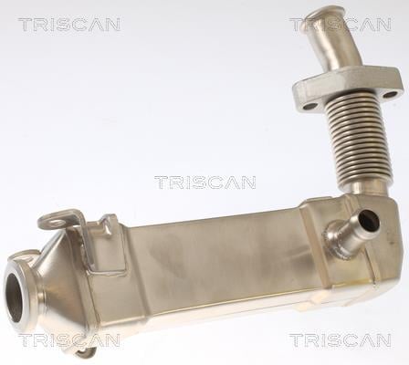 Radiateur, réaspiration des gaz d'échappement Triscan A/S 8813 11008