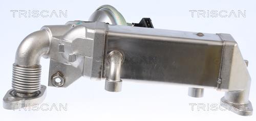 Vanne EGR Triscan A/S 8813 11009