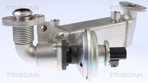 Vanne EGR Triscan A/S 8813 11009