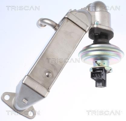 Vanne EGR Triscan A/S 8813 11009