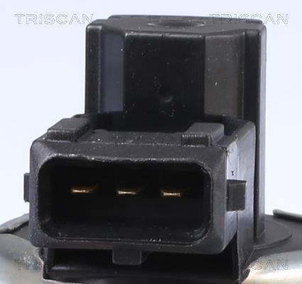 Vanne EGR Triscan A/S 8813 11010