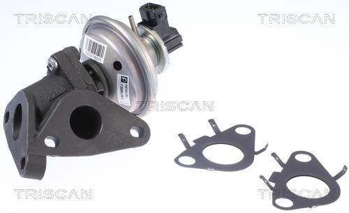 Vanne EGR Triscan A/S 8813 11010