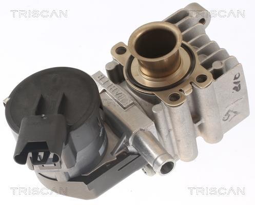 Válvula EGR Triscan A/S ref. 8813 11011