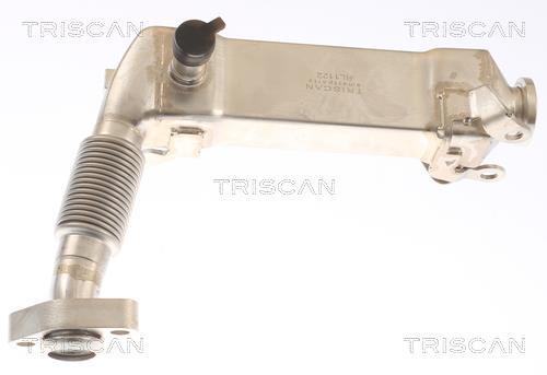Radiateur, réaspiration des gaz d'échappement Triscan A/S 8813 11019