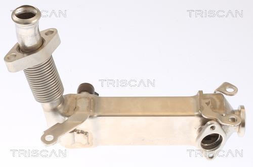 Radiateur, réaspiration des gaz d'échappement Triscan A/S 8813 11019