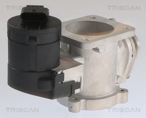 Válvula EGR Triscan A/S 8813 11020