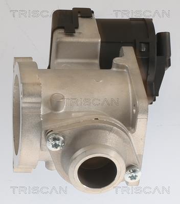 Válvula EGR Triscan A/S 8813 11020