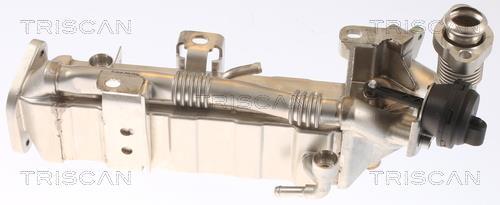 Radiador válvula egr Triscan A/S ref. 8813 11021