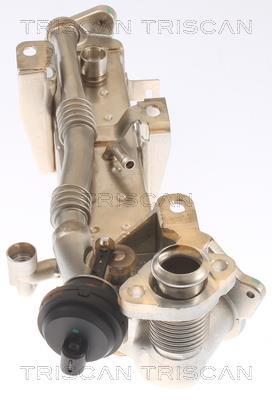 Radiador válvula egr Triscan A/S ref. 8813 11021