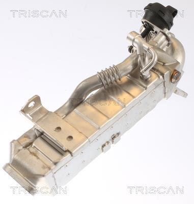 Radiateur, réaspiration des gaz d'échappement Triscan A/S 8813 11022