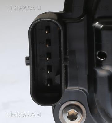 Vanne EGR Triscan A/S 8813 11023