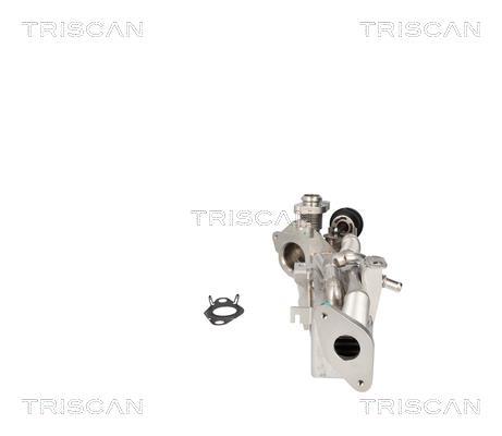 Radiador válvula egr Triscan A/S 8813 11024