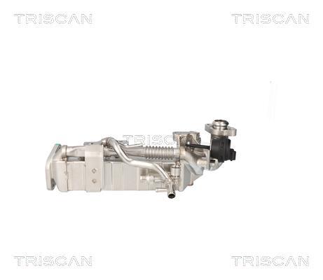 Radiador válvula egr Triscan A/S 8813 11024