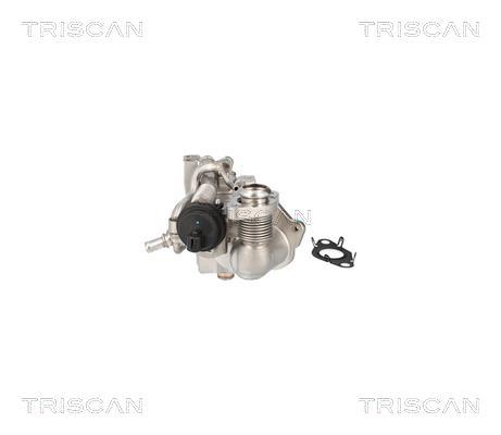 Radiador válvula egr Triscan A/S 8813 11024